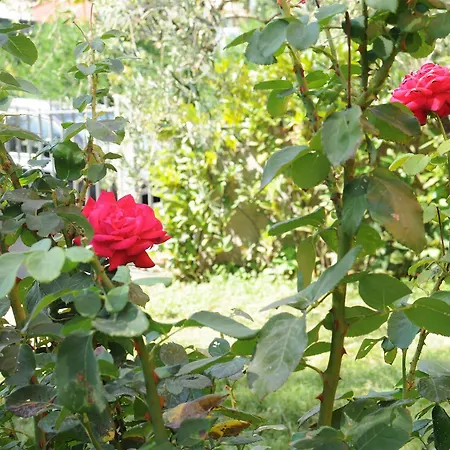 Marinetta Bed & Breakfast 3*